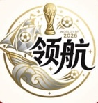 领航国际